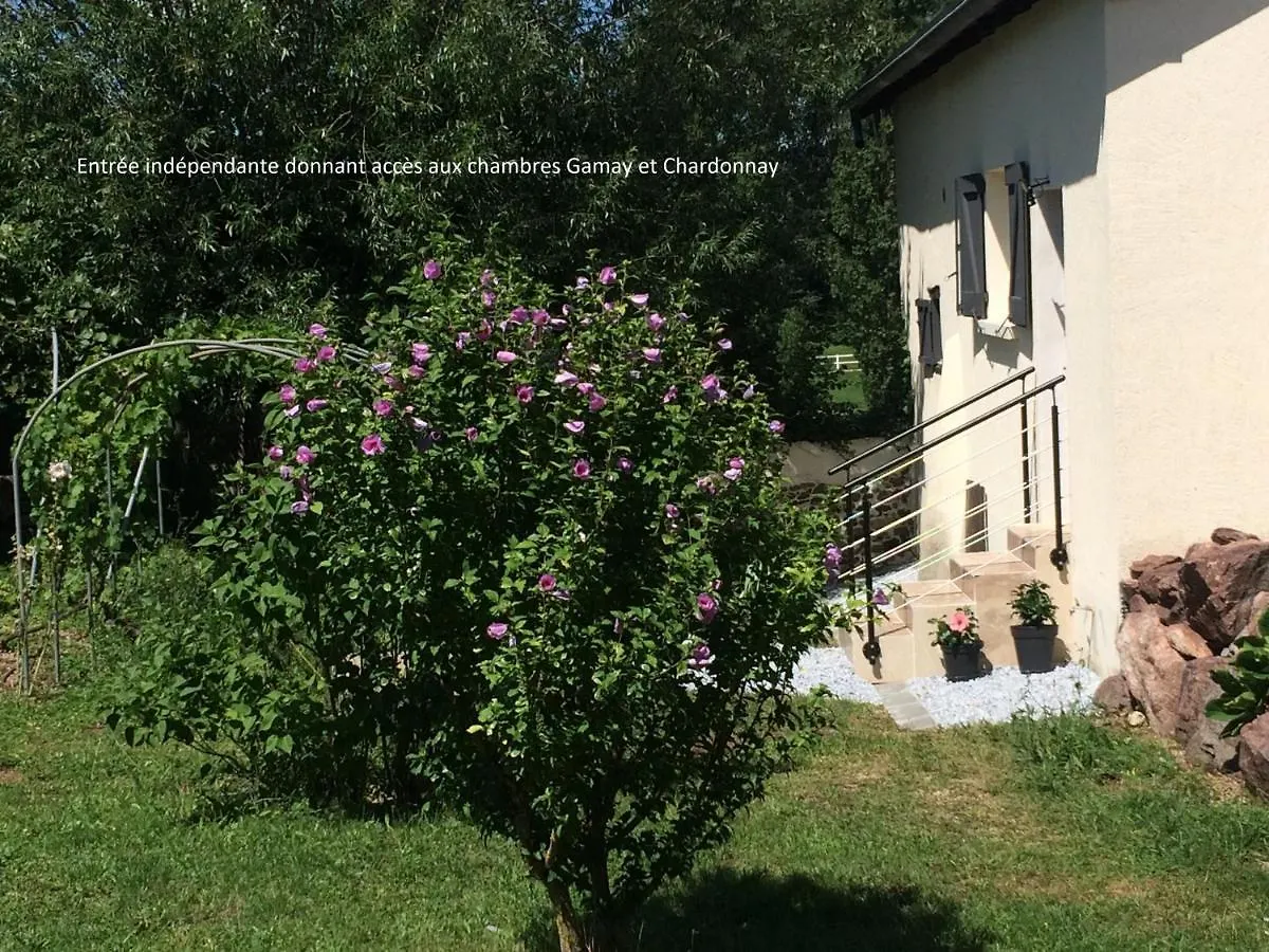 Le Grain De Louise Bed & Breakfast Lancie